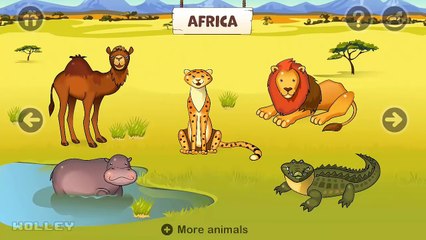 Download Video: Kids Play & Learn Animal Names with Sounds - Zoo Playground Animated Animals for Kids by Black Fox