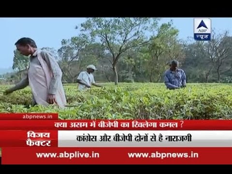 Vijay Factor: Will BJP win Assam Assembly Elections 2016?