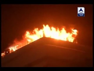 Delhi's natural history museum gutted in fire