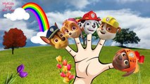 PAW PATROL Academy Finger Finger Family Nursery Rhyme | Daddy Finger | My Kids Songs Toys