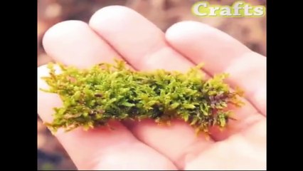 Handmade art from a light bulb