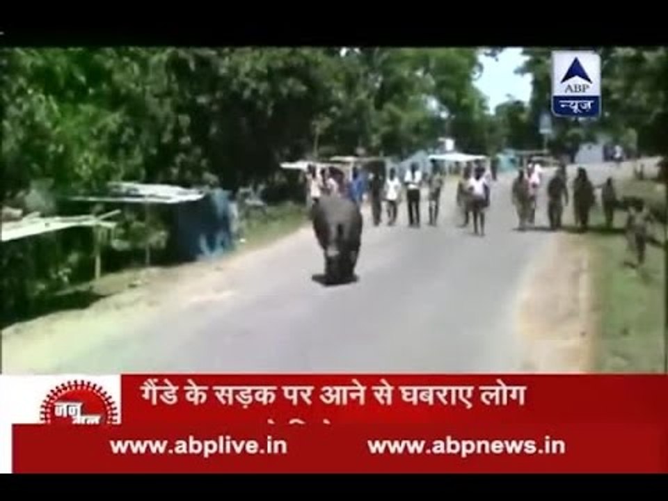 Jan Man: Kaziranga National Park submerged in water, rhinos on roads