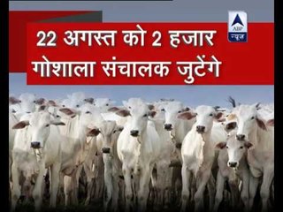 Jan Man: Gaurakshaks to gather on August 22 against PM Modi's 'fake gaurakshak' statement