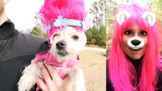 Trolls Puppy Makeover (Poppy, Branch, Guy Diamond) Dreamworks New Movie