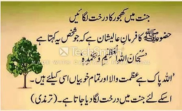 Hadees sharif-Islamic Hadees-Quran hadees-islamic baatein