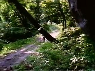 바카라게임룰り／／ ＧＭ５５４。COM  ／／み온라인바카라사이트