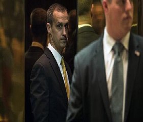 Corey Lewandowski Consulting Firm