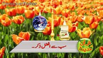 Sab Se Afzal Zikr-Dhikr-Must See This Beautiful Video