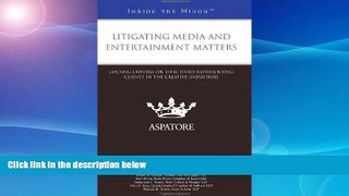 Buy  Litigating Media and Entertainment Matters: Leading Lawyers on Effectively Representing