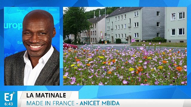 Nova-Flore : des fleurs sur le bitume