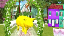 Learn Names Of Names - English Nursery Rhymes For Children || 3D Animation Song