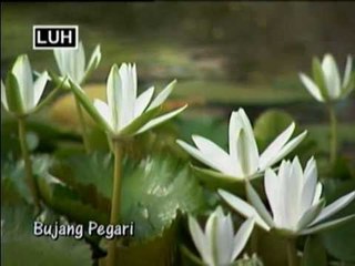 Bujang Pegari - Ita Medin