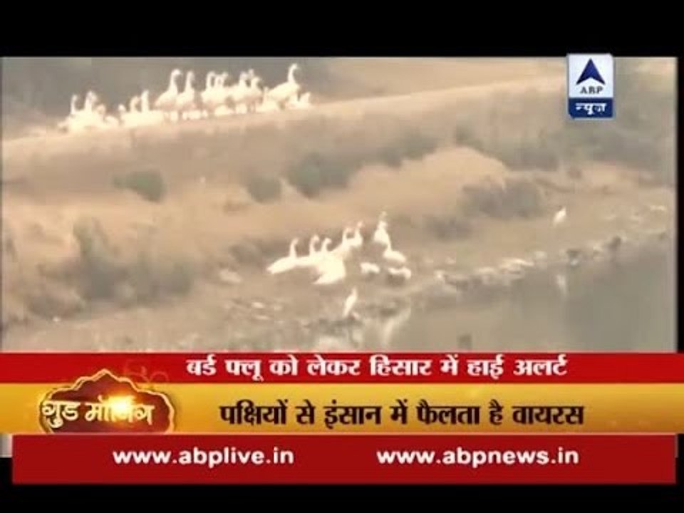 150 birds culled in Hisar to prevent bird flu spread