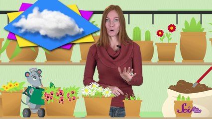 Where Does Water Come From?