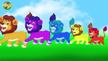 Simba Vs Kitty || Cartoon Finger Family Rhymes || 3D Animated Finger Family Rhymes