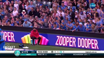 Ce stadier attrape une balle de cricket sans bouger d'un poil