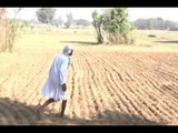 Ground Report: Violating Govt order, no seeds for Haryana farmers with old notes
