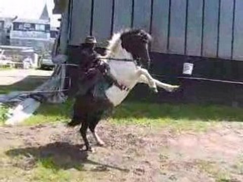 manon et coquin en lucky luke et jolly jumper