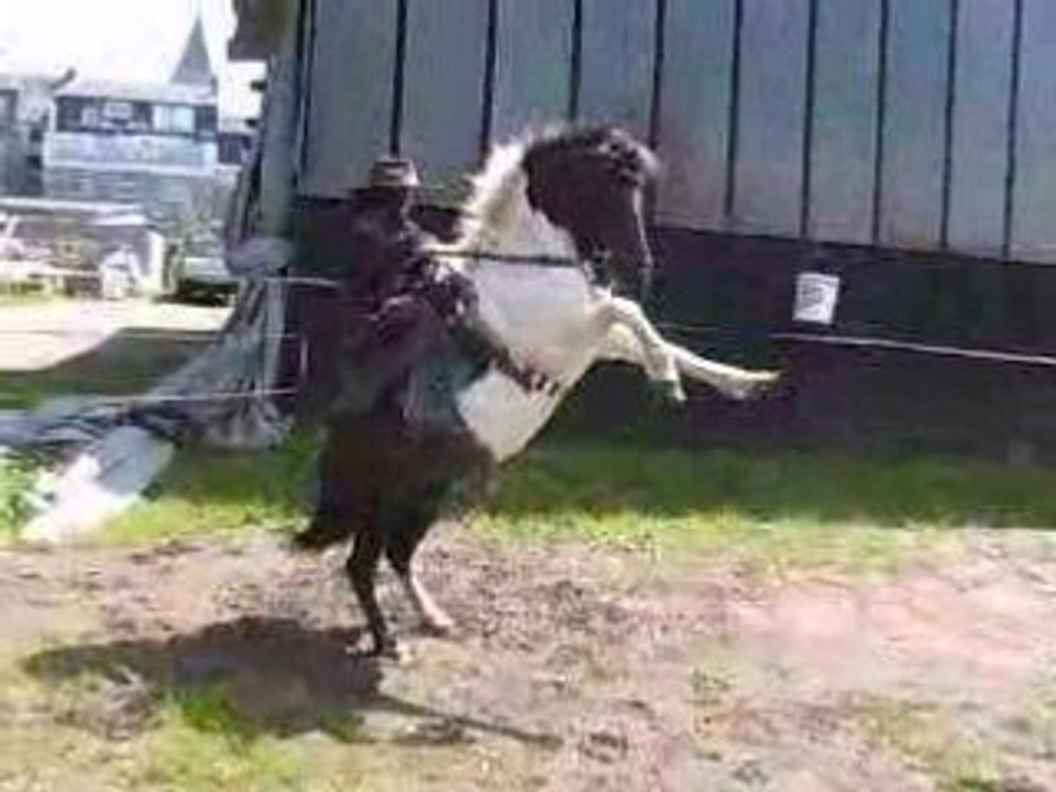 manon et coquin en lucky luke et jolly jumper