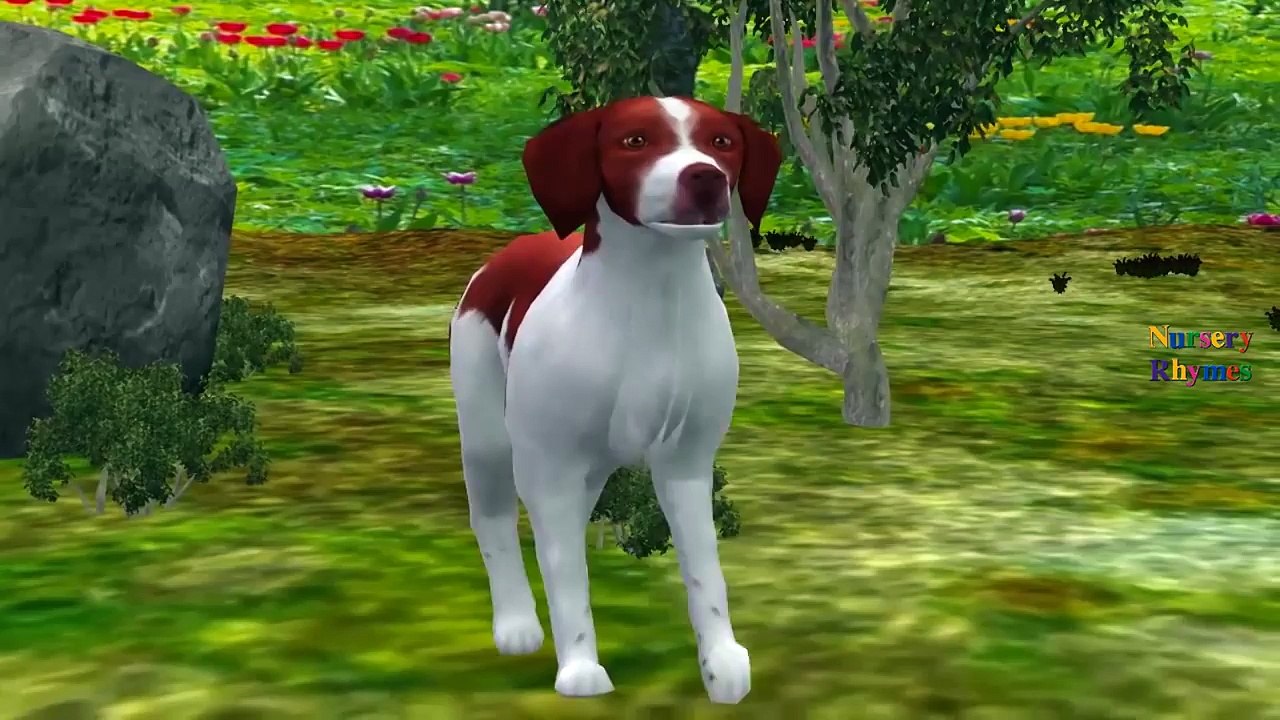 Dogs Singing Finger Family Nursery Rhymes For Babies | Dog Cartoons For Children