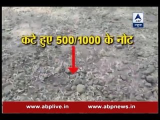 Old Rs 500/1000 notes snipped off and thrown on road in Meerut