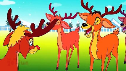 Rudolph, The Red Nose Reindeer | Christmas Carols | Nursery Rhymes