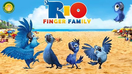 RIO Finger Family Nursery Rhymes for Children and Babies | MYFINGER FAMILY RHYMES