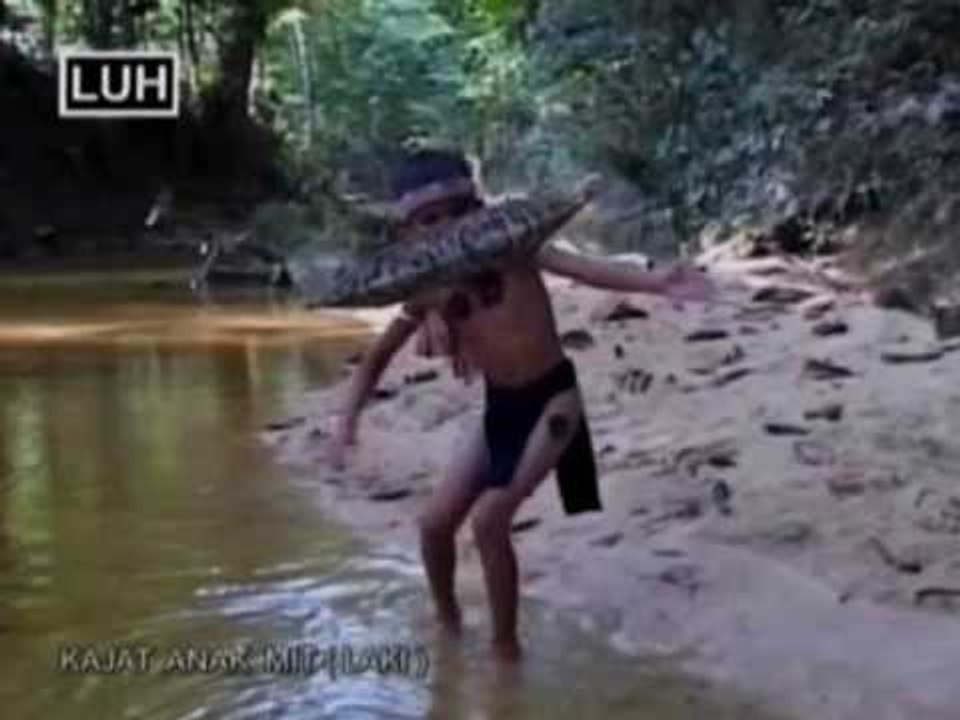 Kajat Anak Mit (Laki) - Alberto