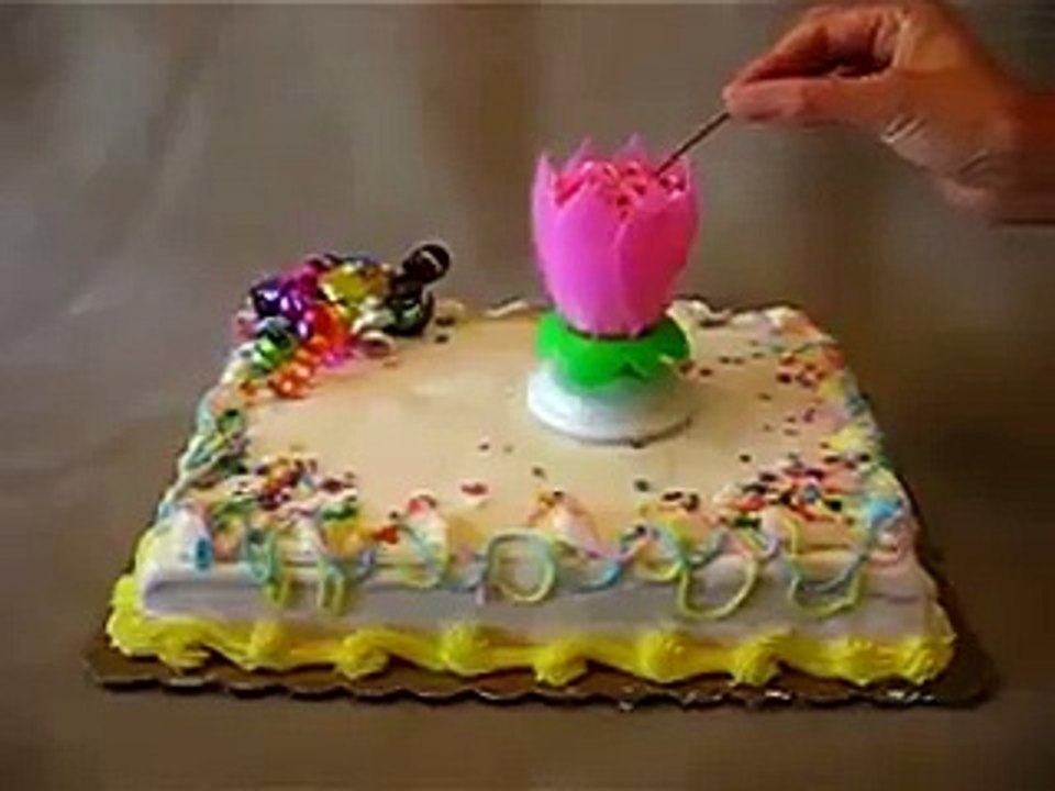brithday