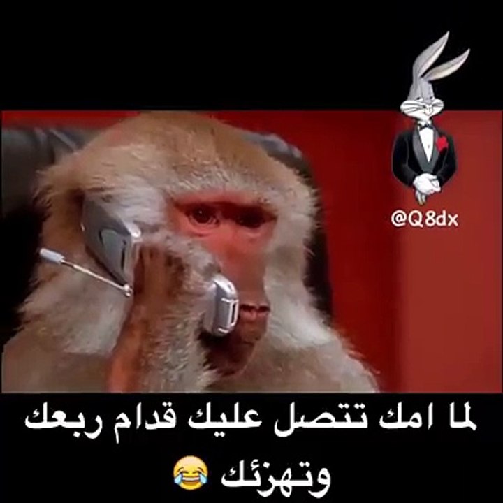 bandar ki call