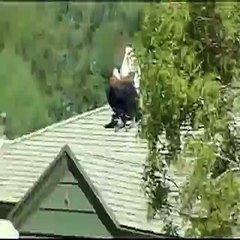 Un jeune voulant narguer la police se fait remettre en place !