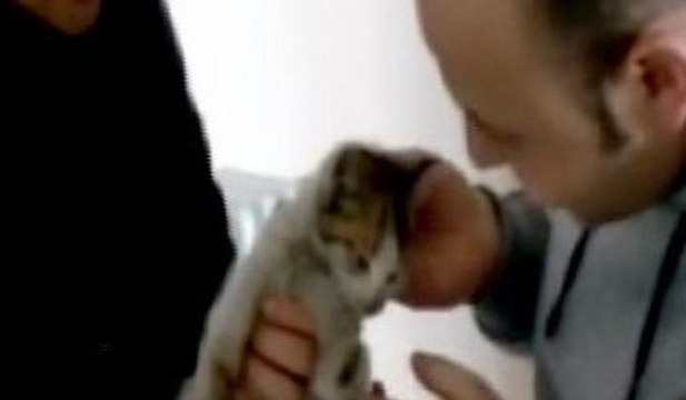 Donmak üzere olan yavru kediyi vatandaş kurtardı