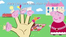 Top Pepa Pig Songs Finger Family ( Peppa Pig Transformed into cartoon characters) Nursery Rhymes