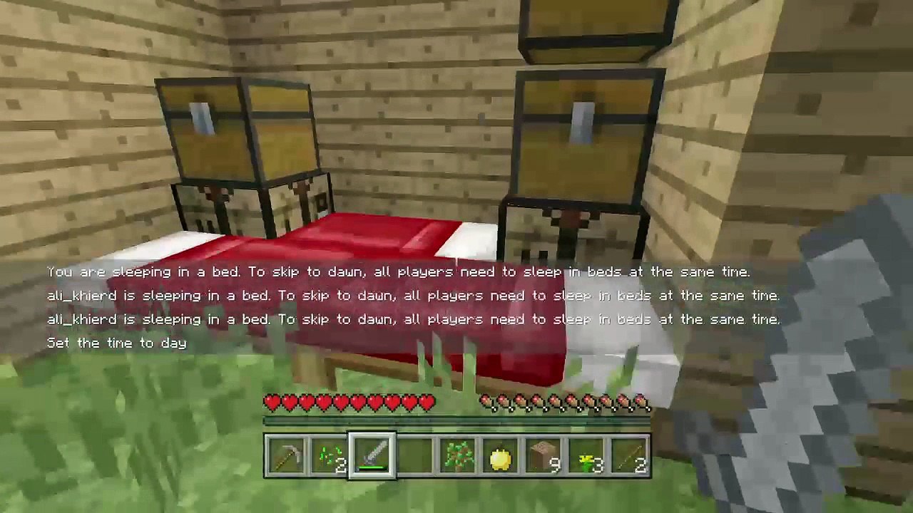 Minecraft (28)