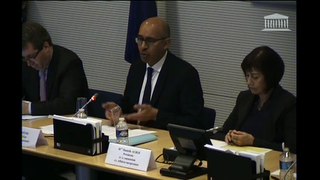 Audition d'H.Désir sur le Conseil européen du 15 décembre 2016