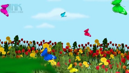 Fuzzy Wuzzy Caterpillar | Butterfly Song for Children | Kid Song, Nursery Rhymes