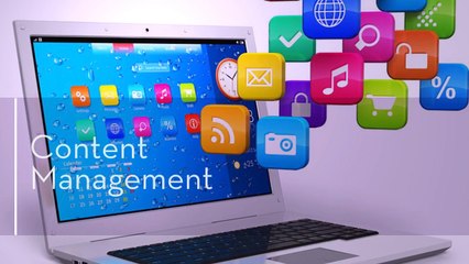 Choosing the Right Charlotte SEO Firm ?