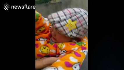 Boy, 4, walks onto motorway by mistake