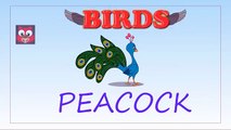 Learn Birds Names for Children in English | Birds Name and Sounds for Kids | Farm & Wild Birds Names