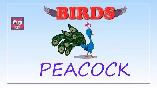 Learn Birds Names for Children in English | Birds Name and Sounds for Kids | Farm & Wild Birds Names