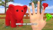 Elephant Finger Family | Nursery Rhymes | 3D Animation From TanggoKids Nursery Rhymes