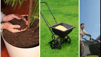 Dj's Landscaping: 24/7 Affordable Lawn Care 🌿