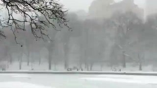 Inverno no Central Park, Nova York