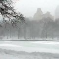 Inverno no Central Park, Nova York