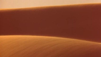 Villeneuve cada vez más cerca de dirigir 'Dune'