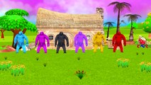 Colors Dinosaurs Vs Gorilla Bear Elephant Finger Family | Lion Cartoon Hot Cross Buns Nursery Rhymes