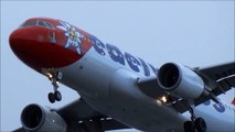 Vídeo de avião a falhar três aterragens no aeroporto da Madeira torna-se viral