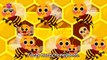 Fuzzy Buzzy Honeybees | Bug Songs | PINKFONG Songs for Children