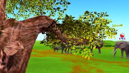 Sparrow Irritating Baby Elephant Funny Video For Children | Elephant Vs Lion 3D Cartoon Video