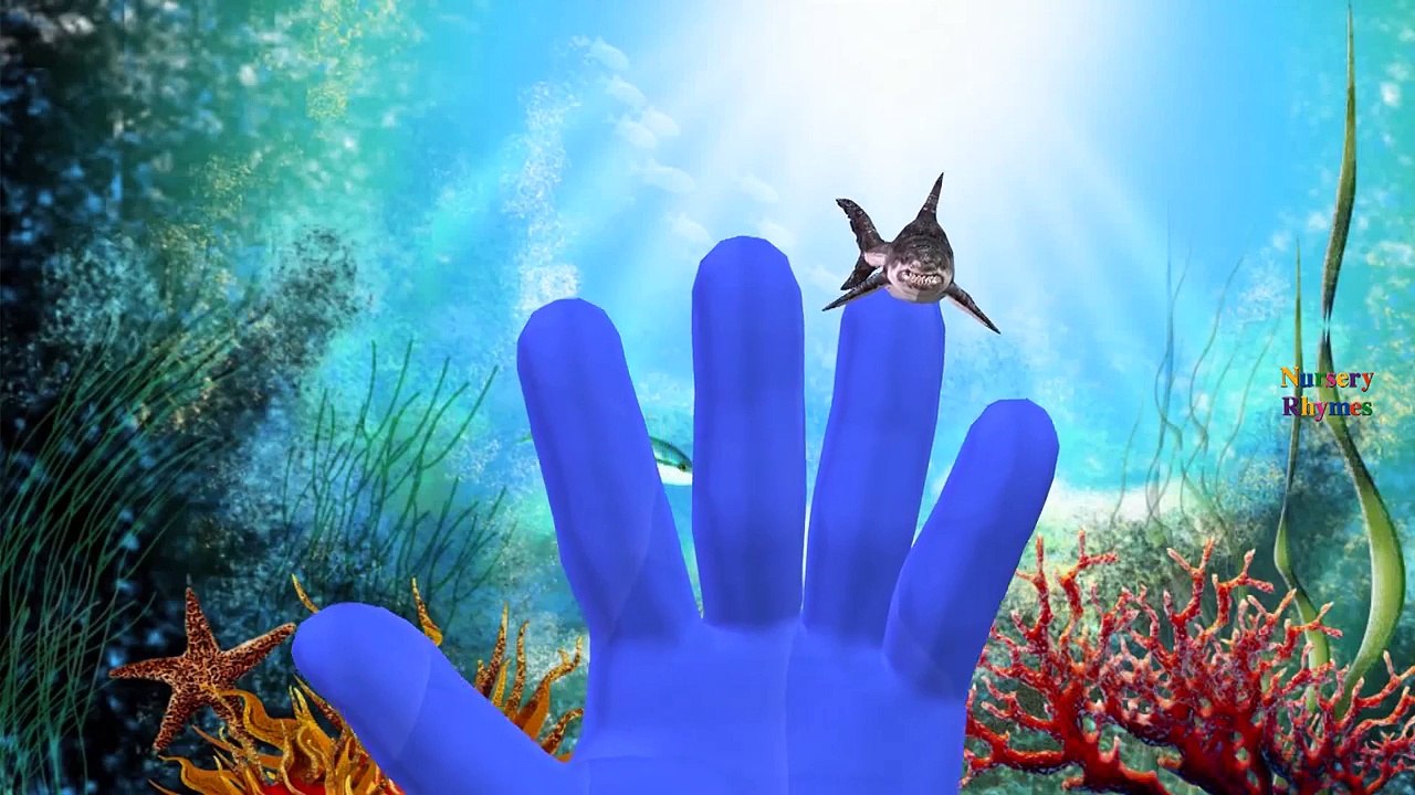 Shark Finger Family Rhymes And Twinkle Twinkle Little Star | Johny Johny Yes Papa Nursery Rhymes